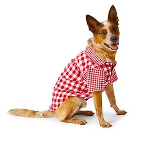 NWOT Draper James x Lands End Flannel Dog Sleep Shirt- XL